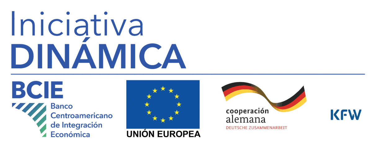 Iniciativa DINÁMICA